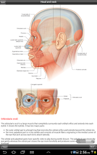 Lastest Gray's Head and Neck APK