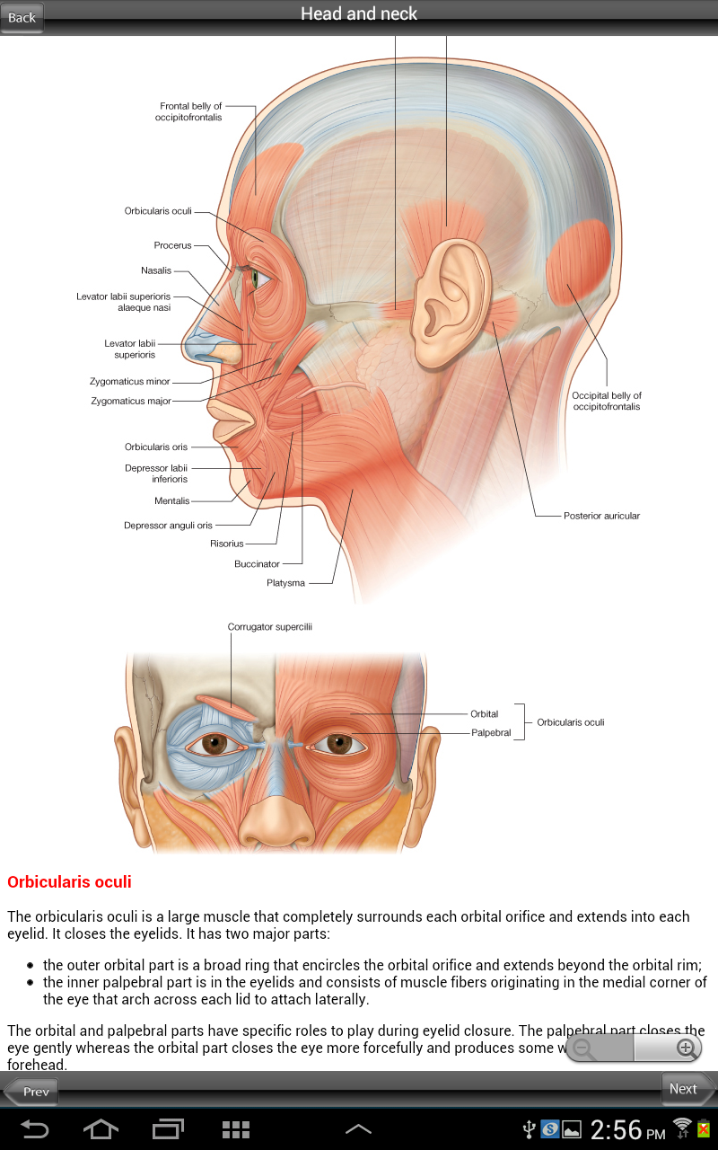 Grays Head and Neck Screen 2