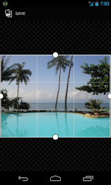 gray photo effect poster 2