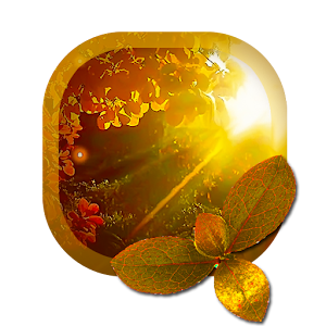 Autumn Full HD Wallpapers 1.0