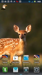 Animals in Nature Live WP Screenshots 3