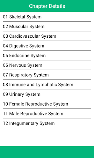 Human Body Anatomy