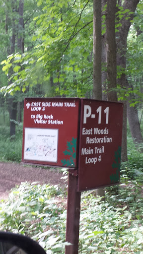 East Side Main Trail Loop 4