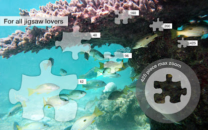 Ocean Jigsaw Puzzles Demo poster 6
