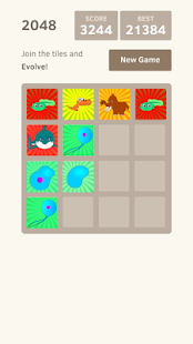 2048 Evolution