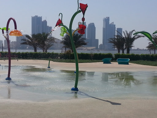 Splash Flower Fountain