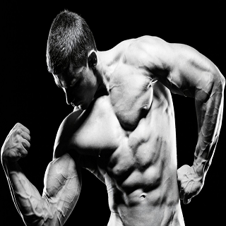 Muscle Building Exercises