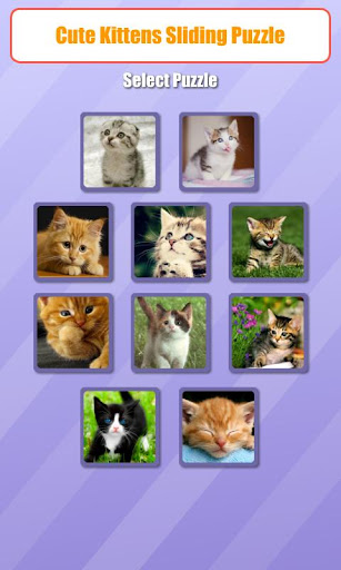 Cute Kitten Sliding Puzzle