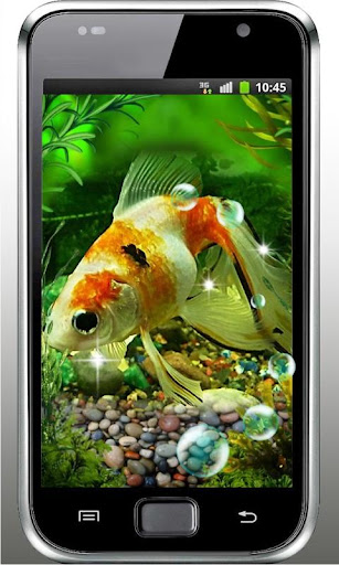 Exotic Fish Tank LWP