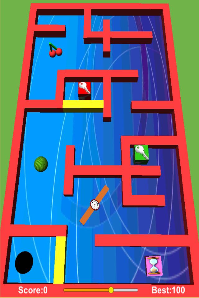 Mini Maze Pro Screen 2
