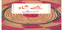 Bulleh Shah Kehnde Nain poetry APK
