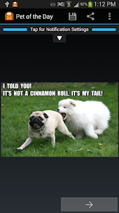 Pet of the Day: Dog & Cat Pics Screenshots 3