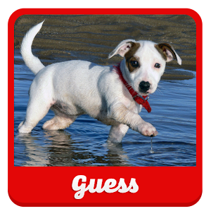 Guess the puppy 1.0