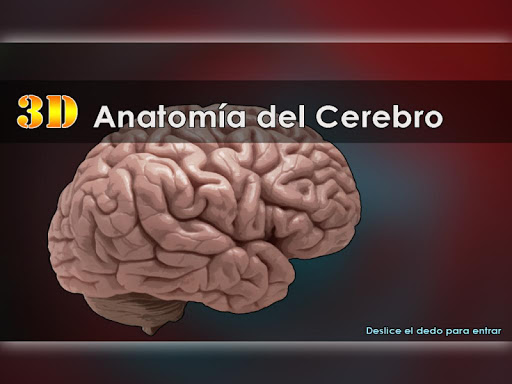 Anatomía del Cerebro 3D