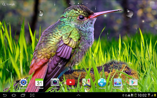 免費下載個人化APP|Hummingbirds Live Wallpaper app開箱文|APP開箱王