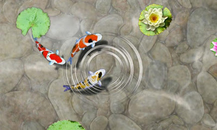 Feed the Koi fish Kids Game poster 1