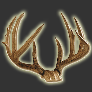 Deer Score & Field Aging Guide