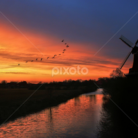 Sunset Flight by Pieter Arnolli - Landscapes Sunsets & Sunrises