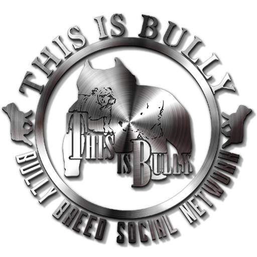 Thisisbully Android App