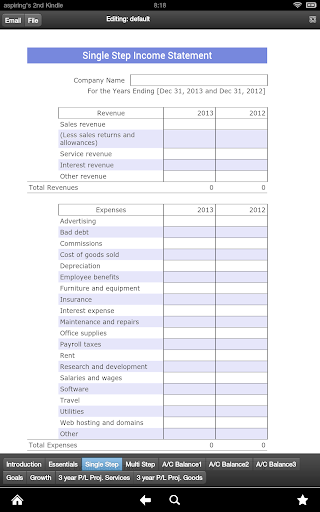 Income Statement Pro