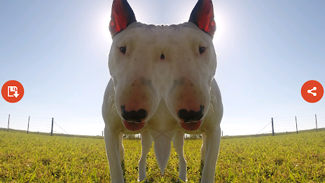 Mirror Camera by Atlantida Apps poster 8