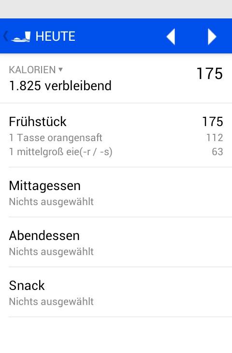 Ernährungstagebuch Screen 3