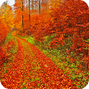 Autumn Wallpaper.apk 1.01