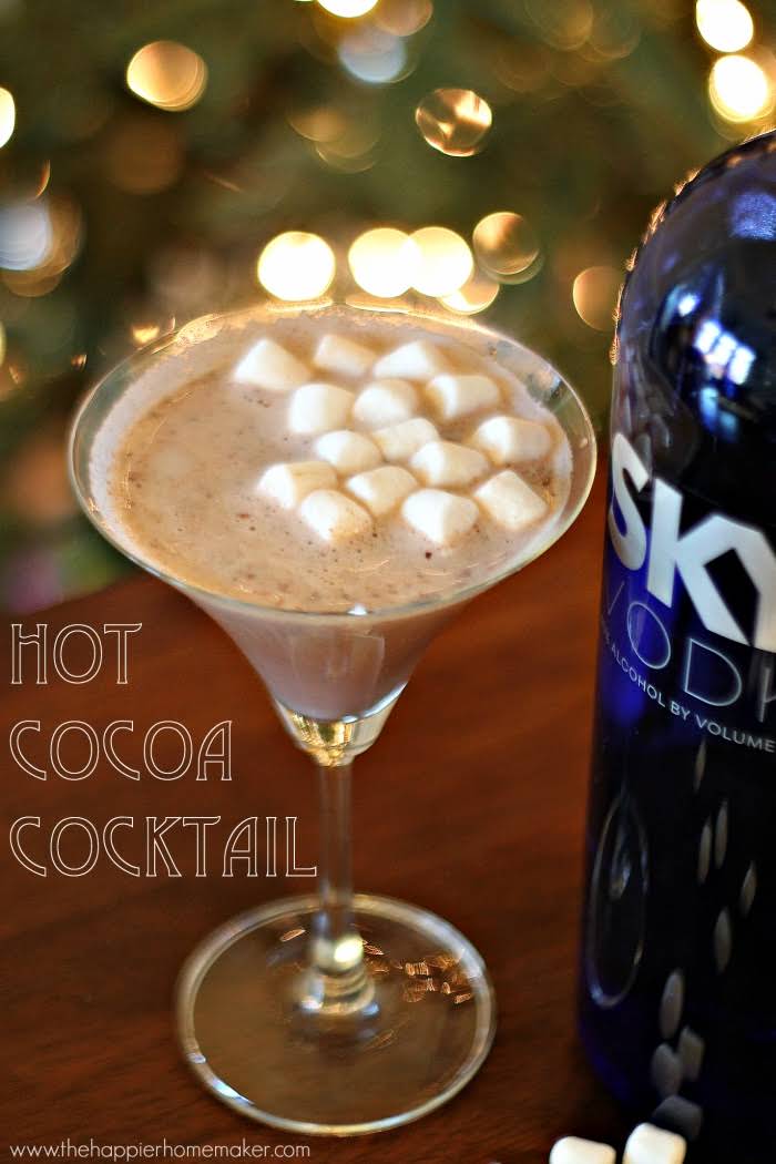 10 Best Hot Chocolate Vodka Drinks Recipes