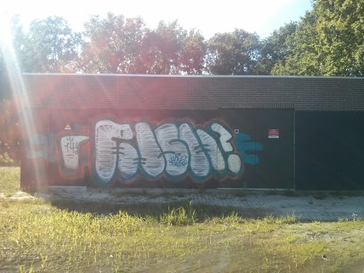 Reeshof 'FISH?' Mural