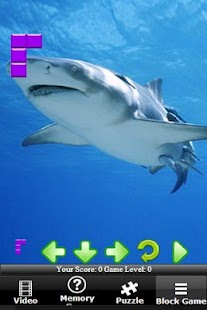 免費下載解謎APP|Shark Hungry Attack app開箱文|APP開箱王