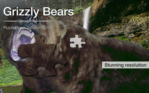 Grizzly Bear Jigsaws Demo