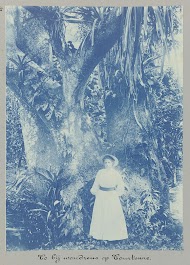 To bij woudreus op Tourtonne