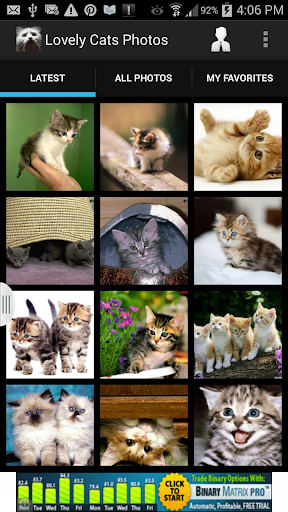 【免費媒體與影片App】Lovely Cats Photos-APP點子