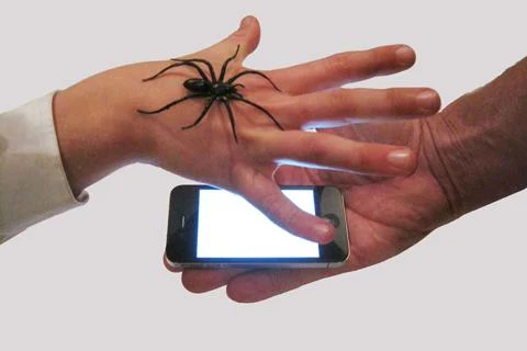    Magic Spider- screenshot  
