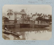 Cacao plantage "Mariënbosch" (inspectie 27 aug.s '95)