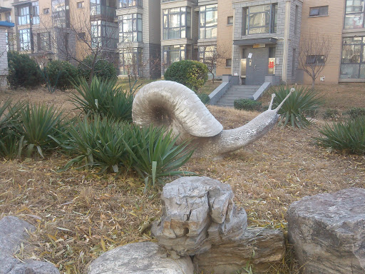 石蜗牛