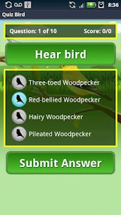 Lastest Quiz Bird APK for Android