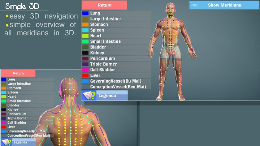 Easy Acupuncture 3D-MED Screen 3