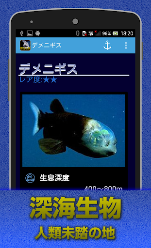 深海生物 闇に潜む謎の生物達・・・