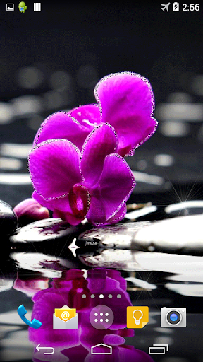 Orchid Live Wallpaper