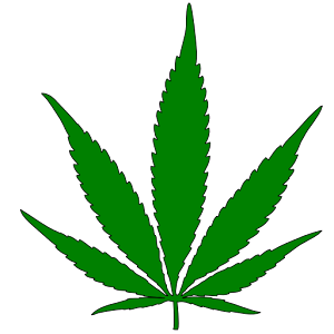 WeedAdventure.apk 1.1