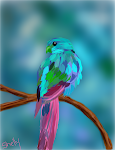 Tweet!