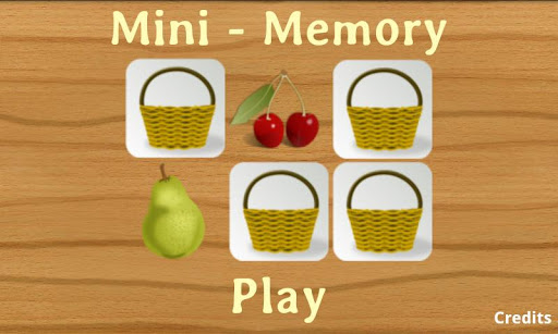 Mini Memory Kid