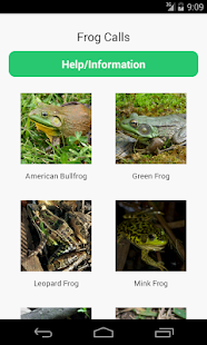 Lastest Frog Calls APK for PC