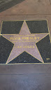 Elvis Presley Star Walk