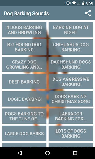 Barking Sounds
