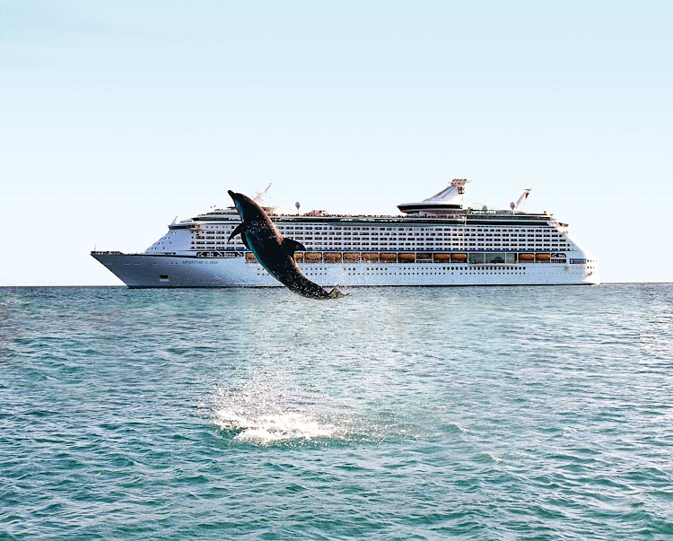 A dolphin leaps through the air in Curacao during a port visit by Adventure of the Seas.