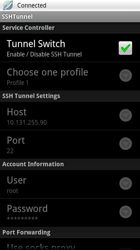 SSH Tunnel Screen 3