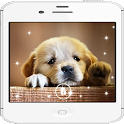 Labrador Dogs live wallpaper icon