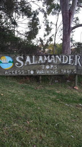 Salamander Tops Walking Trail